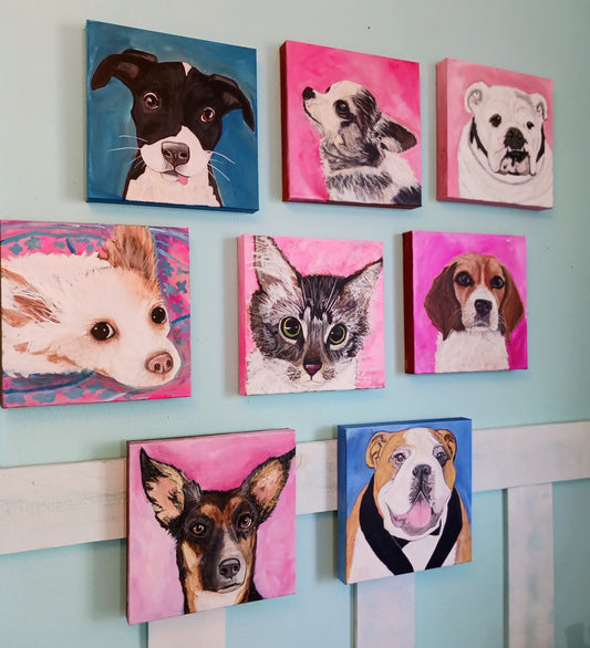 Pet Portraits